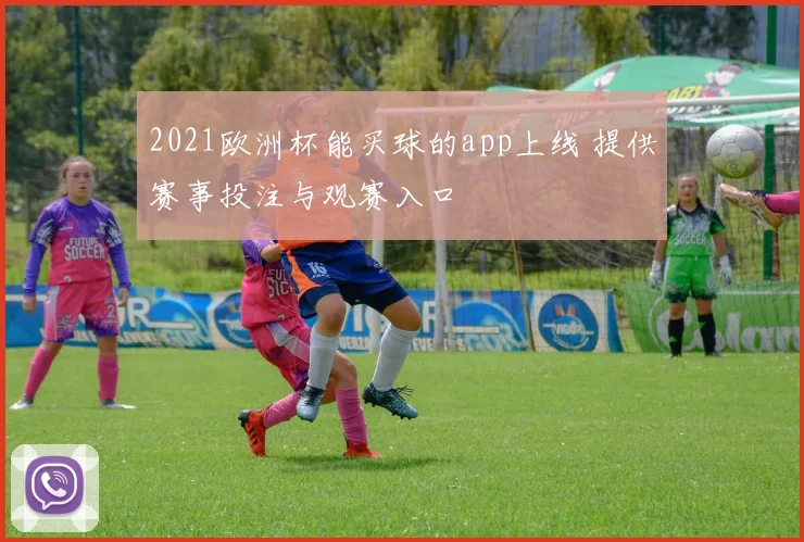 2021欧洲杯能买球的app上线 提供赛事投注与观赛入口