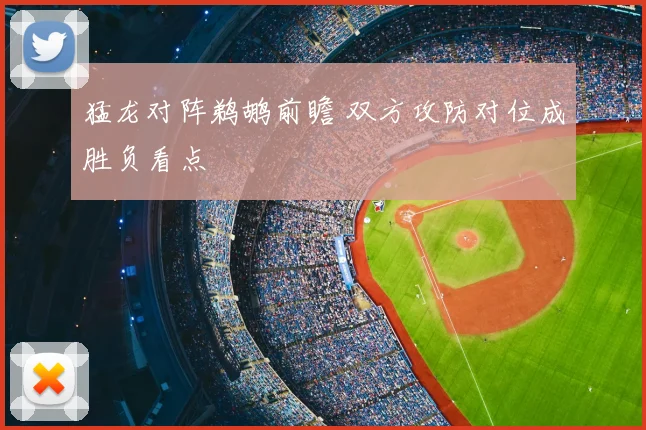 猛龙对阵鹈鹕前瞻 双方攻防对位成胜负看点