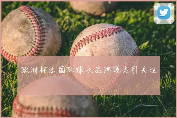欧洲杯法国队球衣品牌曝光引关注