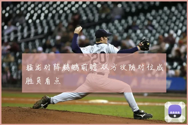 猛龙对阵鹈鹕前瞻 双方攻防对位成胜负看点