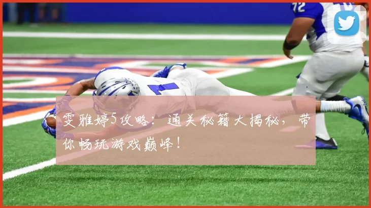 雯雅婷5攻略：通关秘籍大揭秘，带你畅玩游戏巅峰！