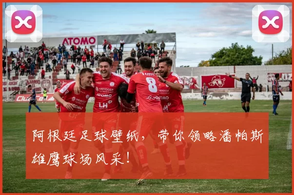 阿根廷足球壁纸，带你领略潘帕斯雄鹰球场风采！