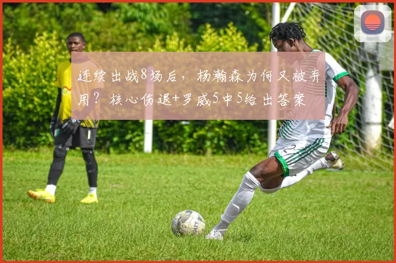 连续出战8场后，杨瀚森为何又被弃用？核心伤退+罗威5中5给出答案