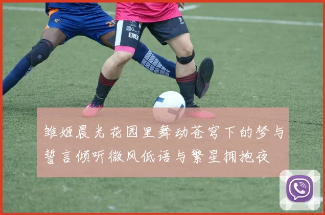 雏姬晨光花园里舞动苍穹下的梦与誓言倾听微风低语与繁星拥抱夜