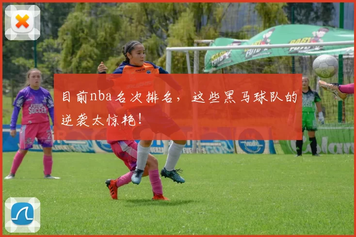 目前nba名次排名，这些黑马球队的逆袭太惊艳！