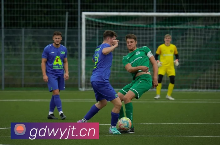 开云手机站官方版网站登录入口 - 开云(中国)平台生态图